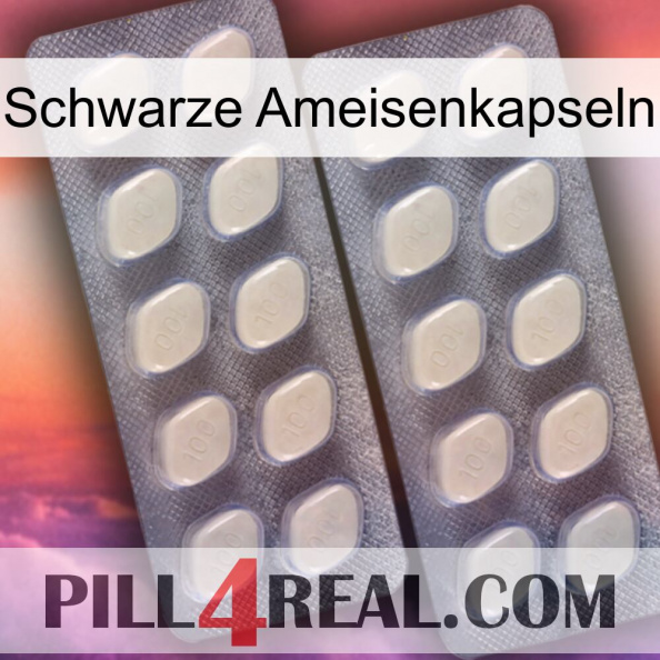 Black Ant Capsules 07.jpg